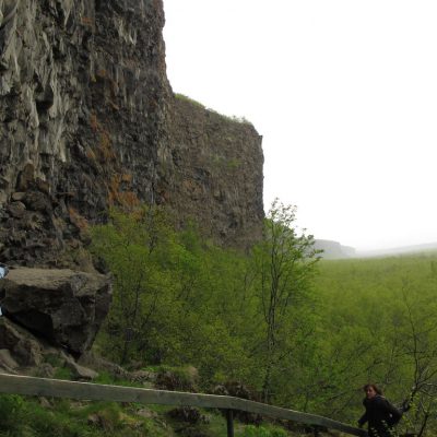 Image description