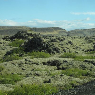 Image description