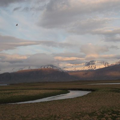 Image description