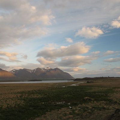 Image description