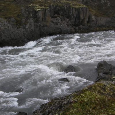 Image description