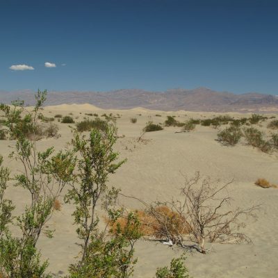 Image description