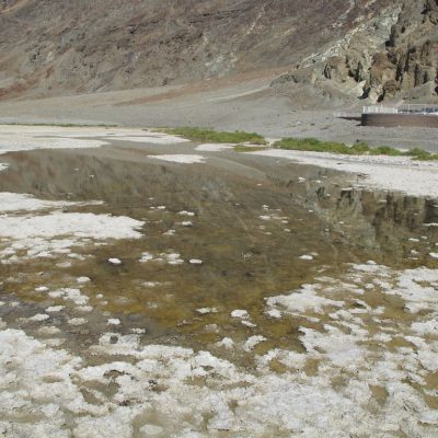 Image description