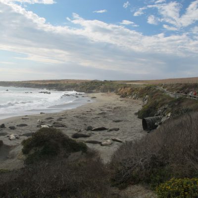 Image description