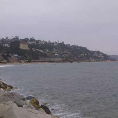 Image description