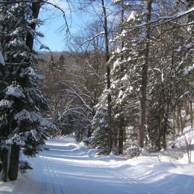 Image description