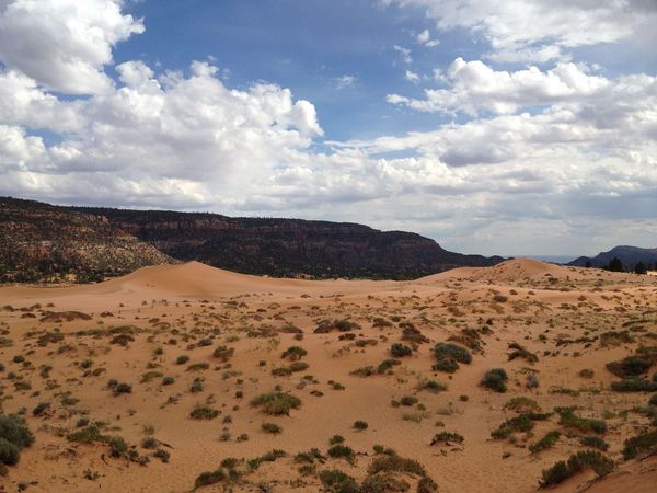 Coral Pink Sand Dunes