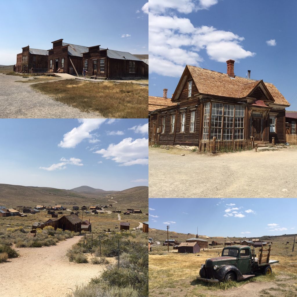 Bodie Bodie