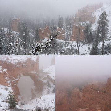 Bryce Canyon sous la naige