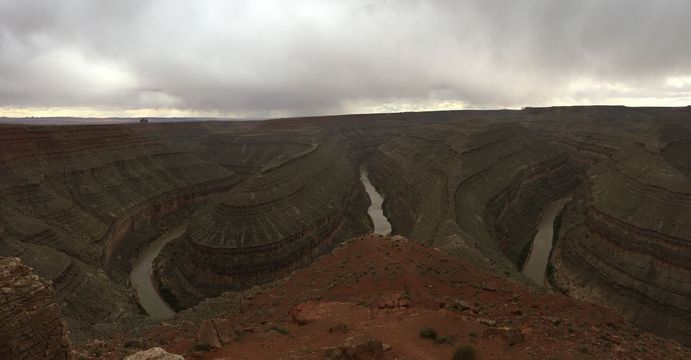 Gooseneck