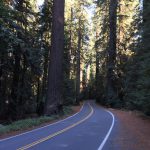 Avenue_Of_The_Geants