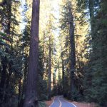 Avenue_Of_The_Geants