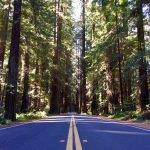 Avenue_Of_The_Geants