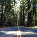 Avenue_Of_The_Geants