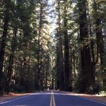Avenue_Of_The_Geants