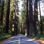 Avenue_Of_The_Geants