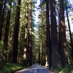 Avenue_Of_The_Geants