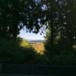 Mt_St_Helens
