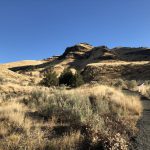 John Day Fossil Beds National Monument