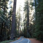 Avenue_Of_The_Geants
