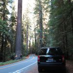 Avenue_Of_The_Geants