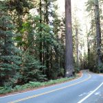 Avenue_Of_The_Geants