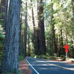 Avenue_Of_The_Geants