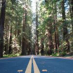 Avenue_Of_The_Geants