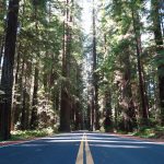 Avenue_Of_The_Geants