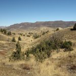 John Day Fossil Beds National Monument