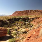 Snow_Canyon_State_Park