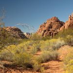 Snow_Canyon_State_Park