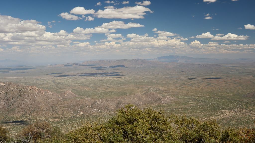 Saguaro National Park