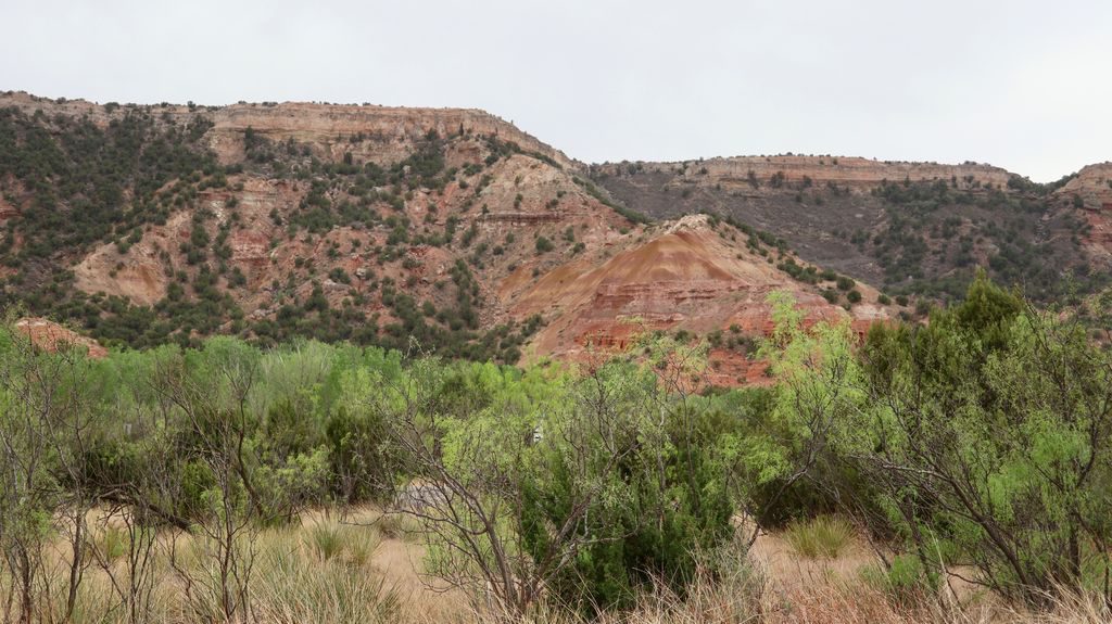 Canyon de Palo Duro