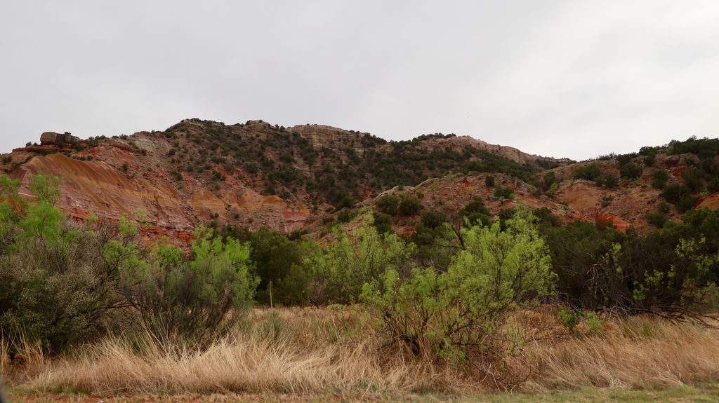 Canyon de Palo Duro