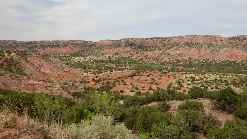 Canyon de Palo Duro