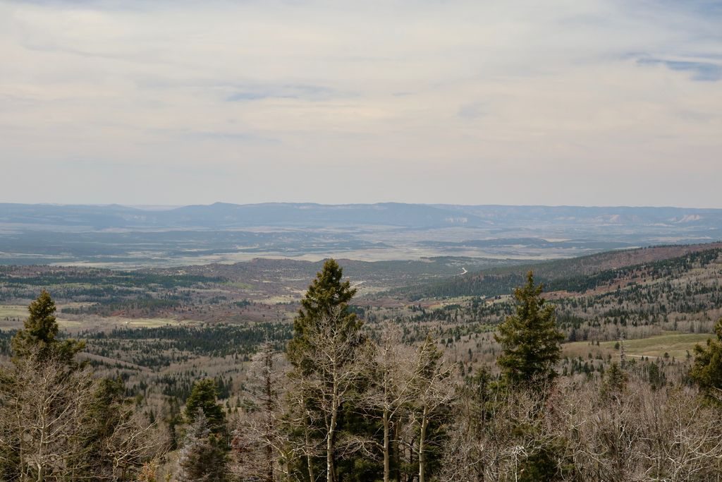 New Mexico